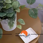 #264 Pool & Garden * אלבופיירה
